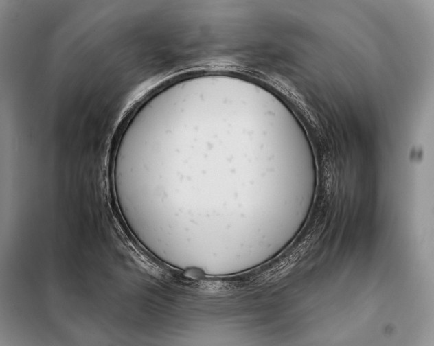 X0000098021176200804181155