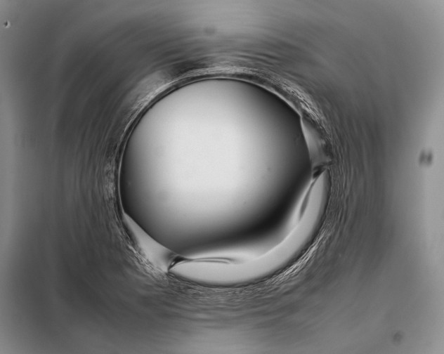 X0000098021177200804181155