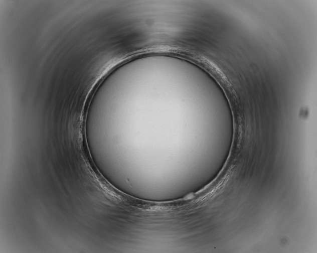 X0000098021178200804181155