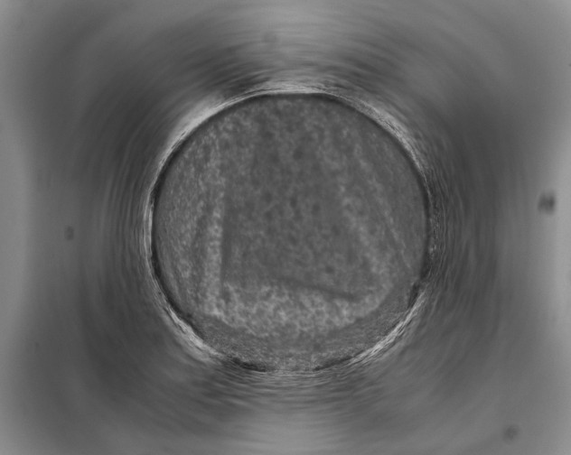 X0000098021179200804181155