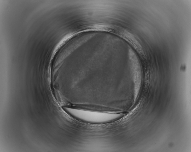 X0000098021180200804181155