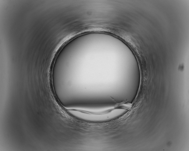 X0000098021181200804181155