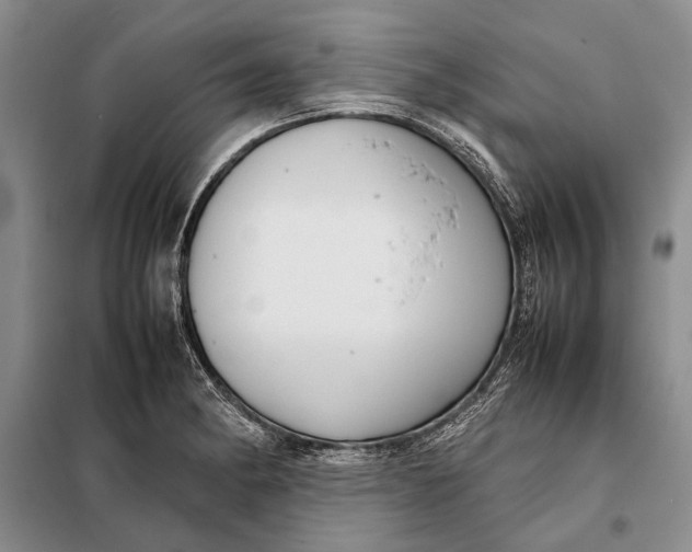 X0000098021182200804181155