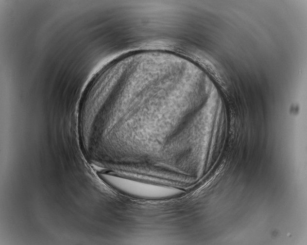 X0000098021184200804181155