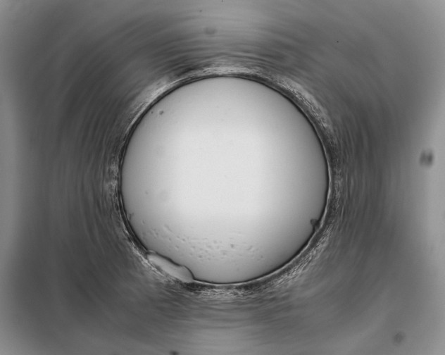 X0000098021185200804181155