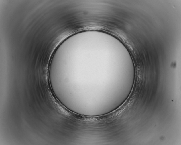 X0000098021186200804181155