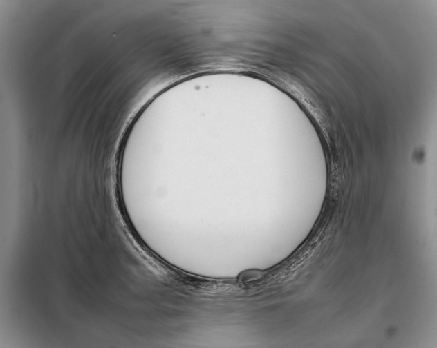 X0000098021187200804181155