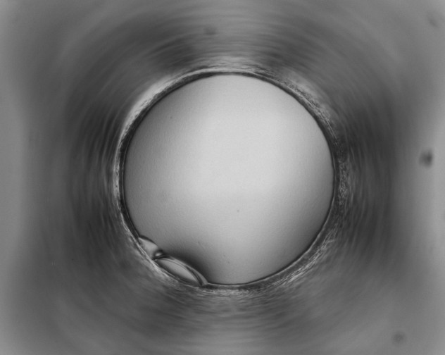 X0000098021188200804181155