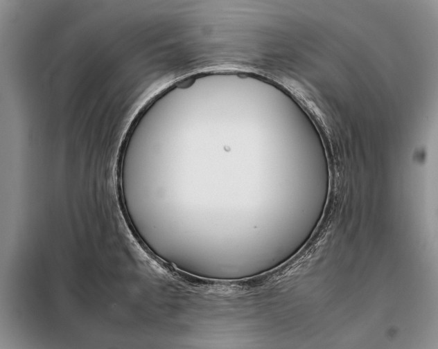 X0000098021189200804181154