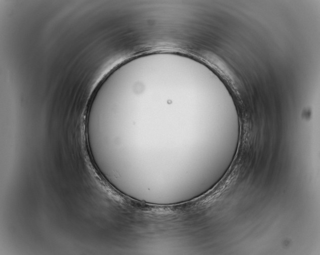 X0000098021190200804181154