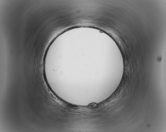 X0000098021191200804181154