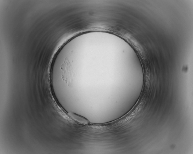 X0000098021192200804181154