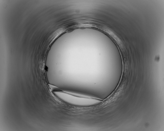 X0000098021193200804181154