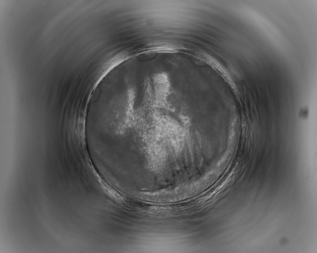 X0000098021194200804181154