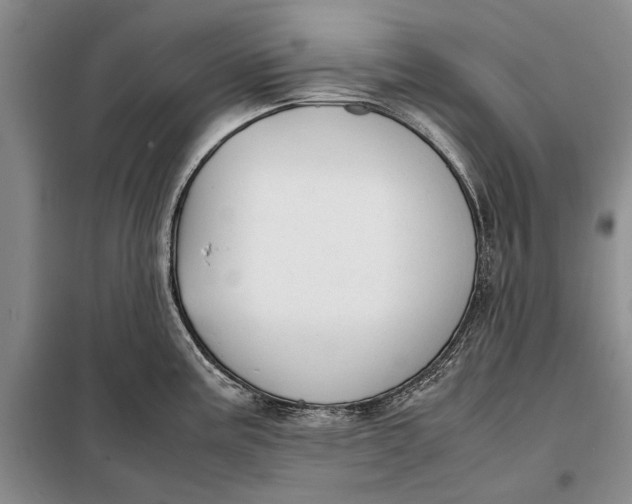 X0000098021195200804181154