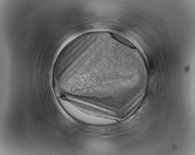 X0000098021197200804181154