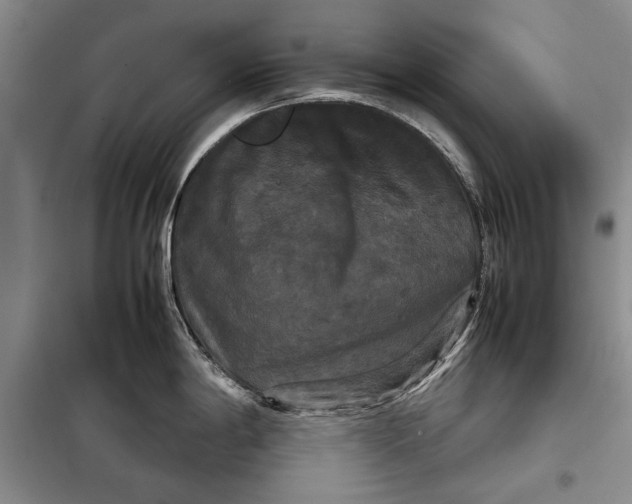 X0000098021198200804181154