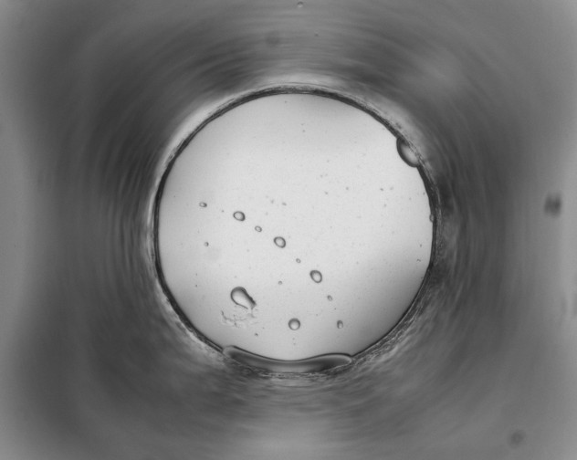 X0000098021199200804181154