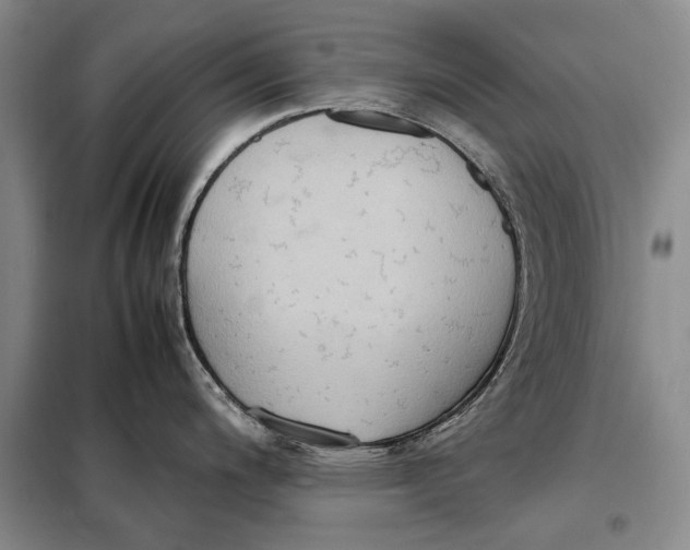 X0000098021200200804181154