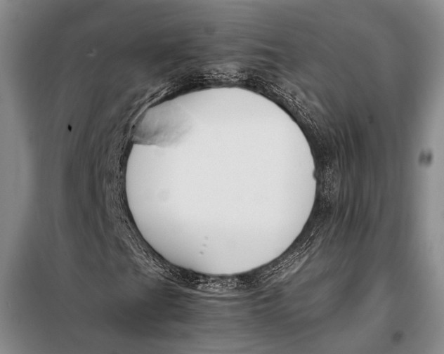 X0000098021201200804181153