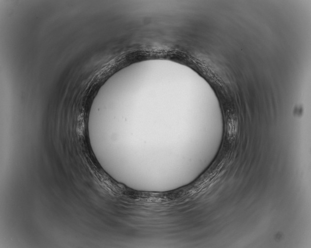 X0000098021204200804181153