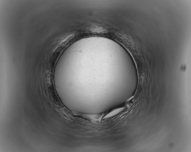 X0000098021205200804181153