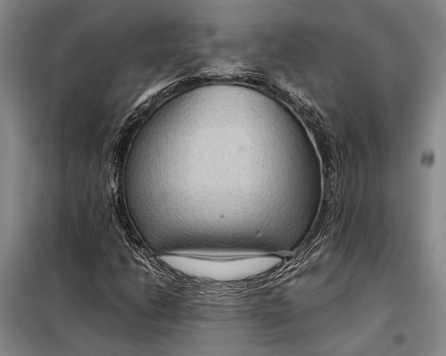 X0000098021206200804181153