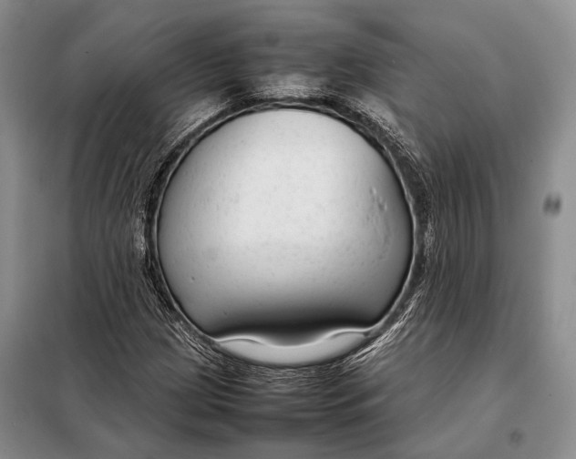 X0000098021209200804181154