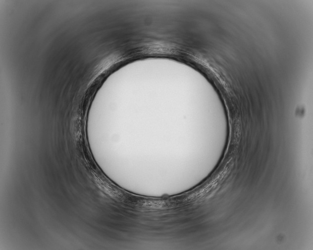 X0000098021211200804181154