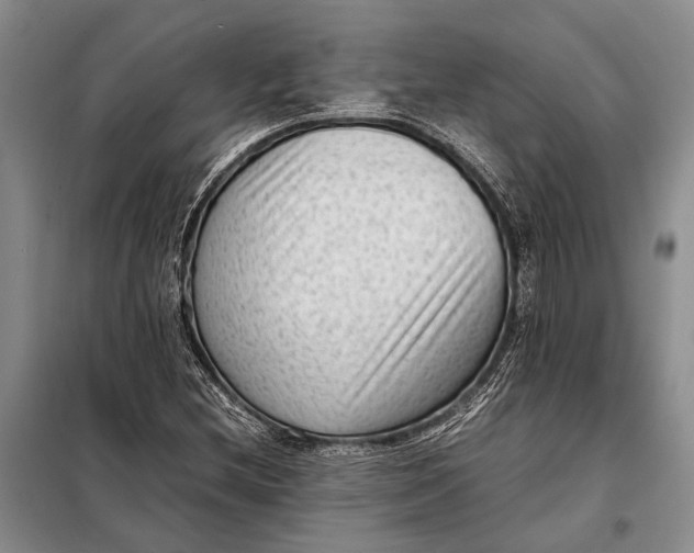 X0000098021212200804181154