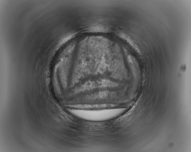 X0000098021213200804181154