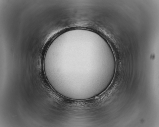 X0000098021214200804181154