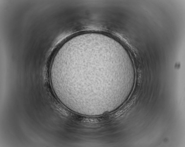 X0000098021215200804181154