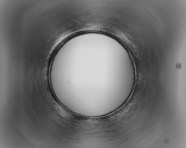 X0000098021216200804181154