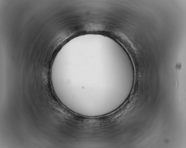 X0000098021217200804181154