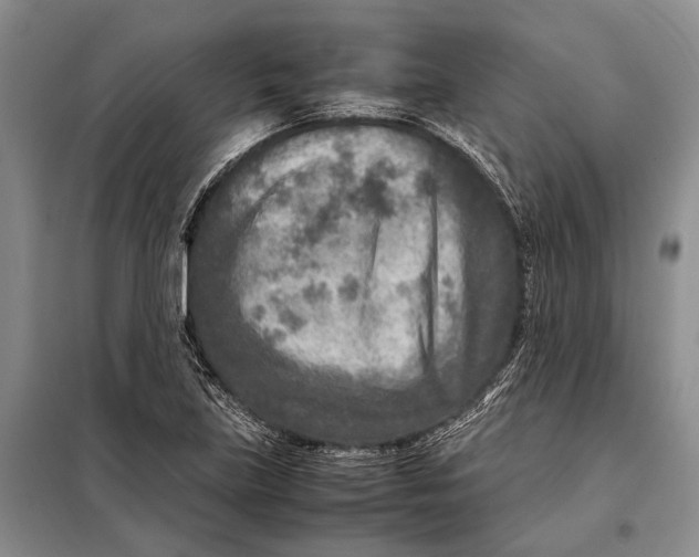 X0000098021219200804181154