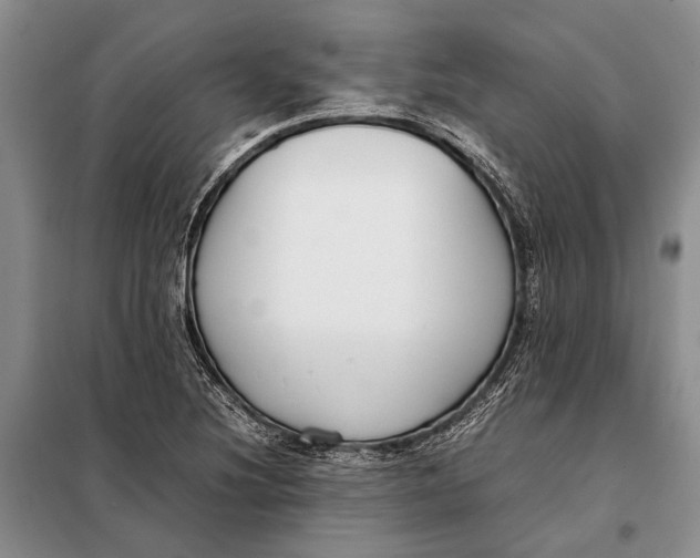 X0000098021220200804181154