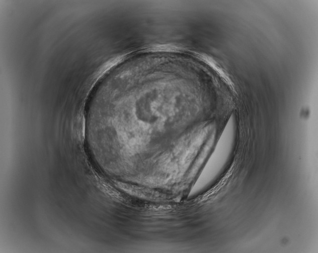 X0000098021221200804181154