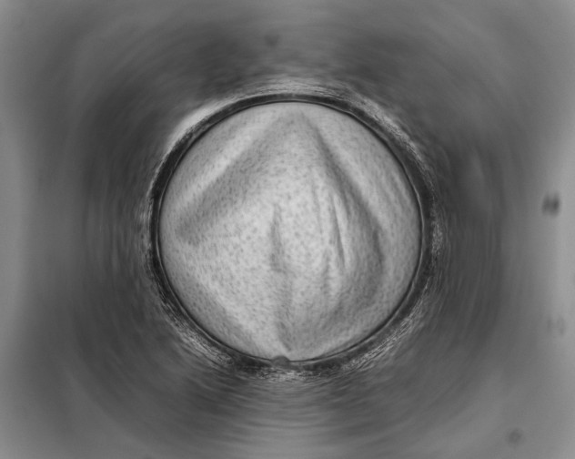 X0000098021222200804181154