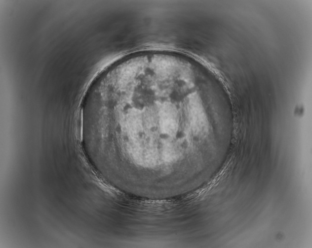 X0000098021223200804181154