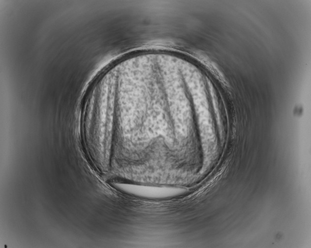 X0000098021224200804181154