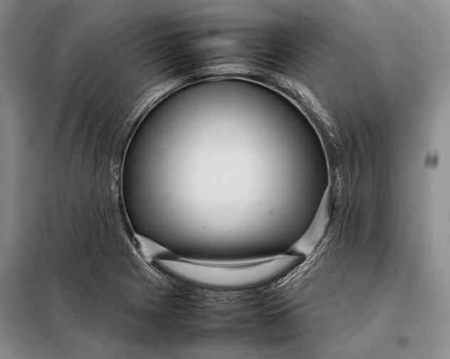 X0000098021225200804181154