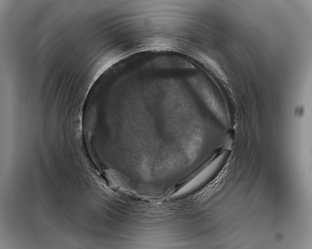 X0000098021226200804181154