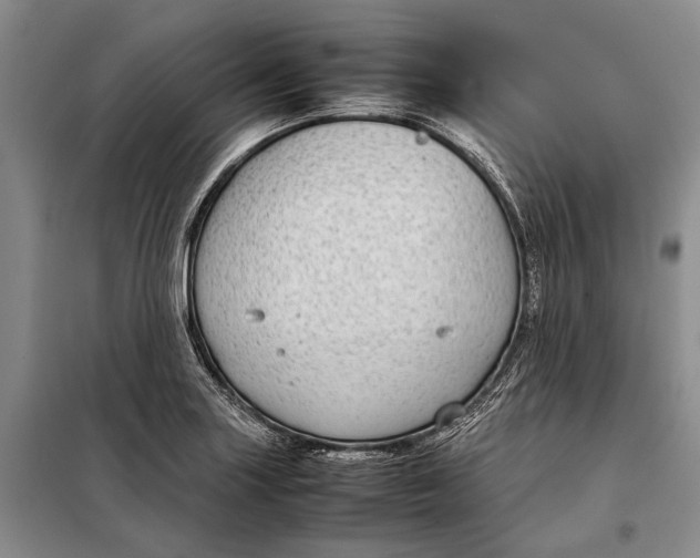 X0000098021227200804181154