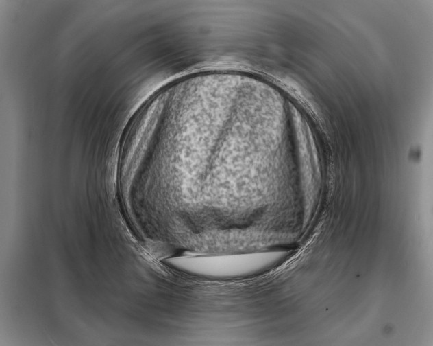 X0000098021228200804181154