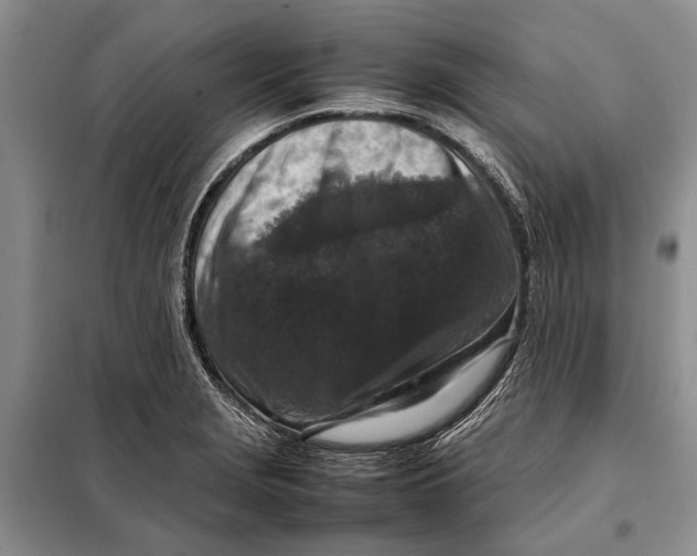 X0000098021229200804181154