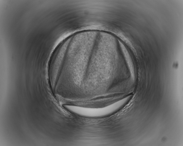 X0000098021230200804181154