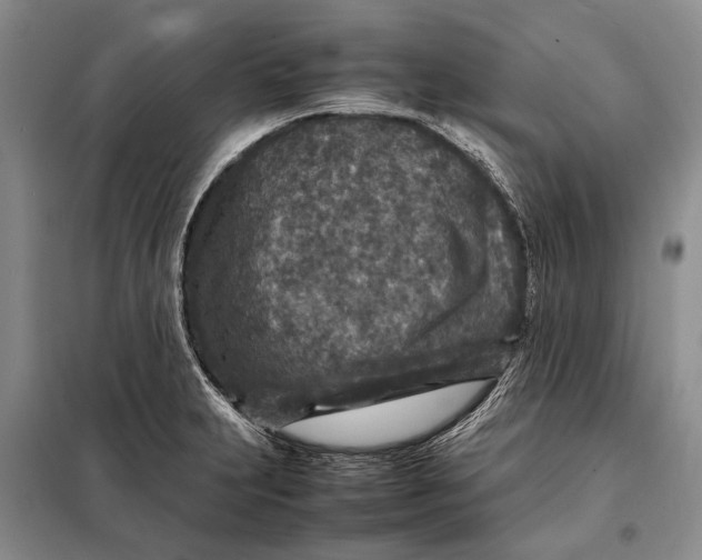 X0000098021231200804181154