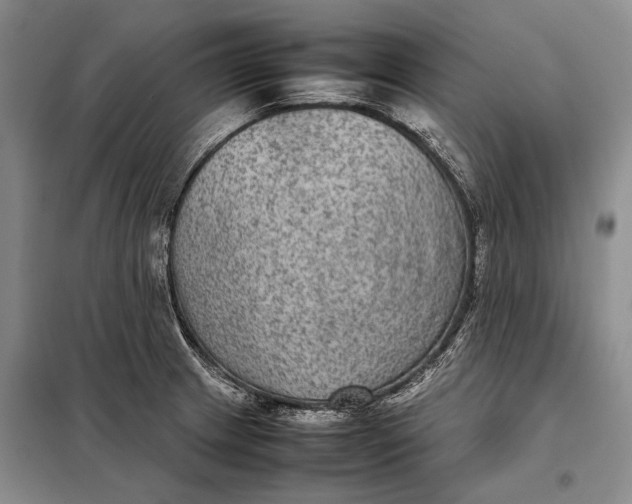 X0000098021233200804181154