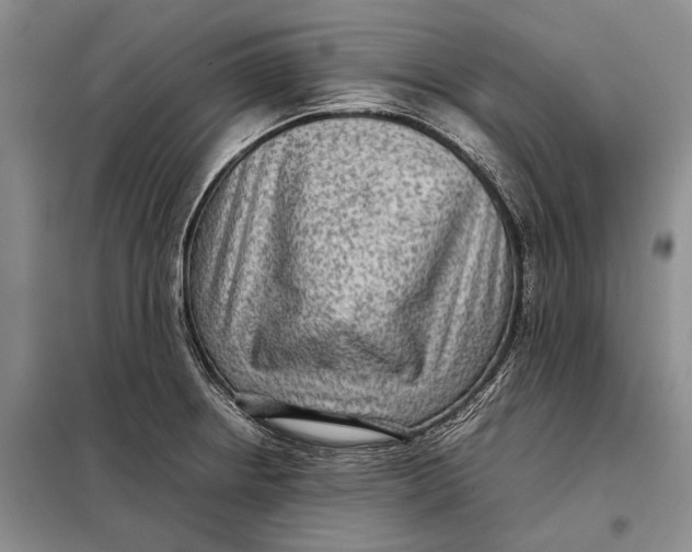 X0000098021234200804181154